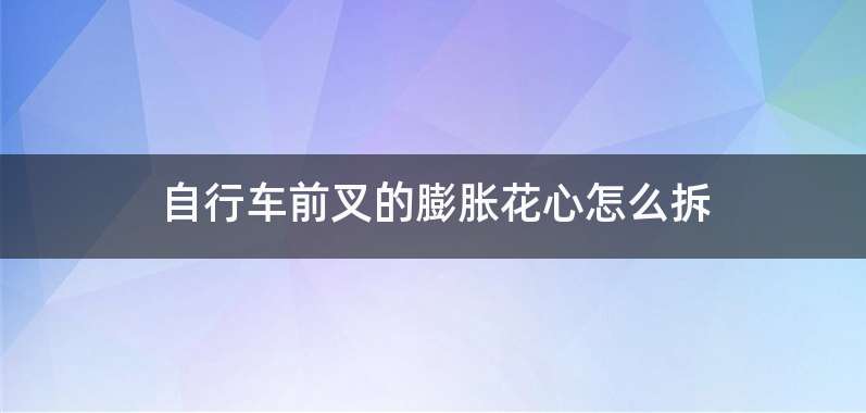 自行车前叉的膨胀花心怎么拆