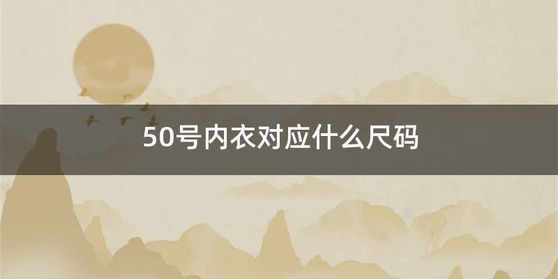 50号内衣对应什么尺码