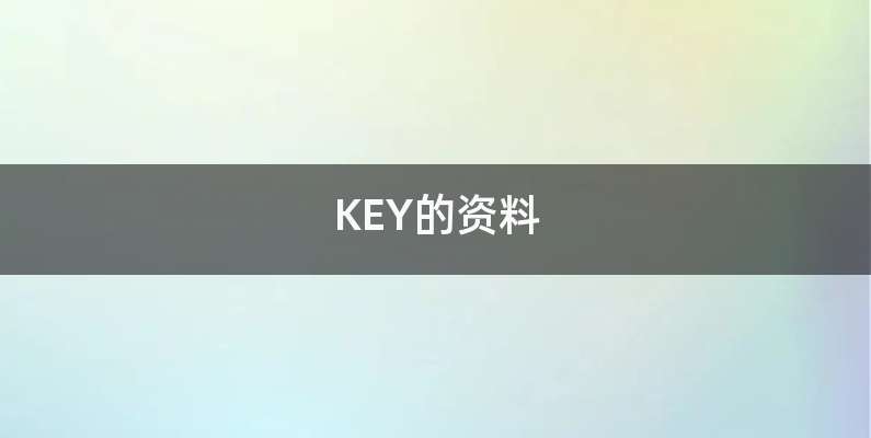 KEY的资料