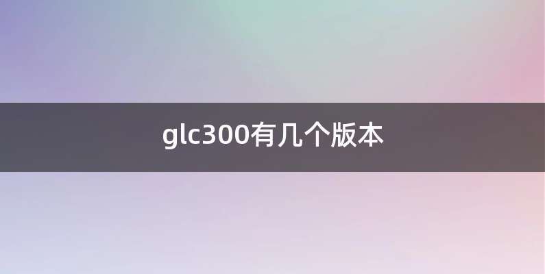 glc300有几个版本