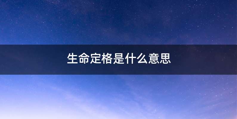 生命定格是什么意思