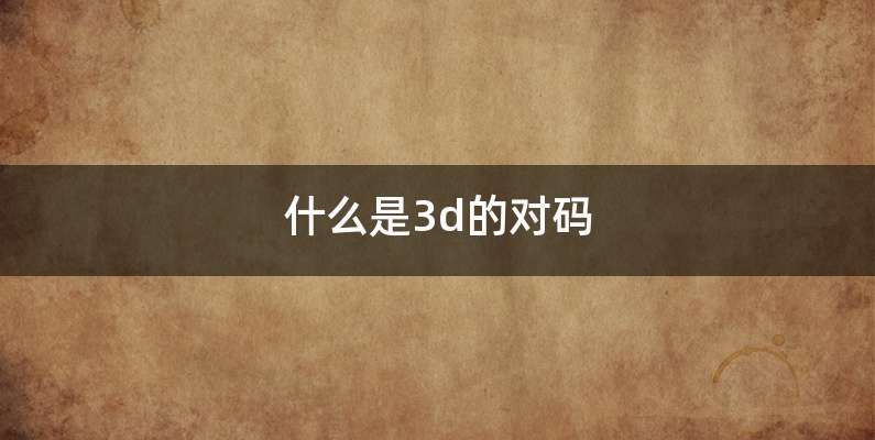 什么是3d的对码