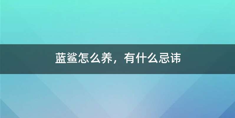 蓝鲨怎么养，有什么忌讳