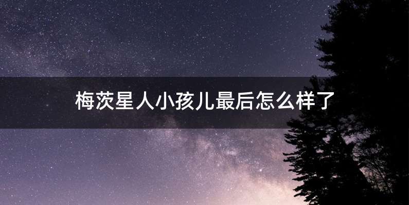 梅茨星人小孩儿最后怎么样了