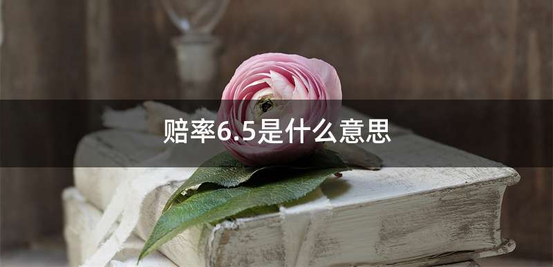 赔率6.5是什么意思