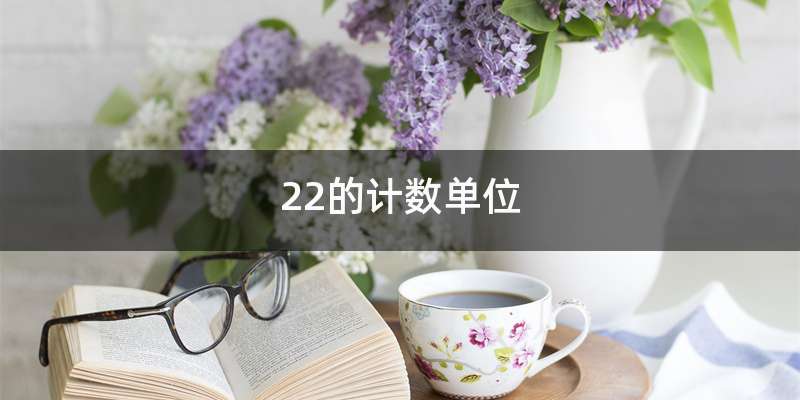 22的计数单位