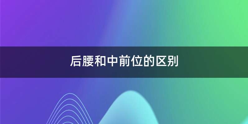 后腰和中前位的区别