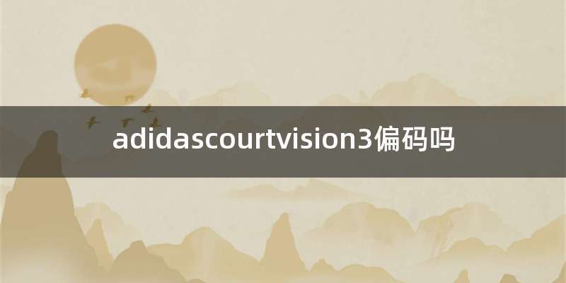 adidascourtvision3偏码吗