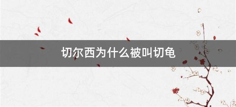 切尔西为什么被叫切龟