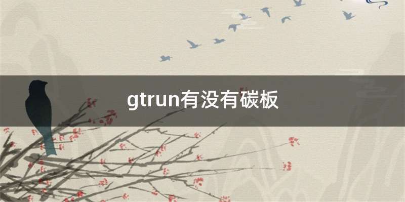 gtrun有没有碳板