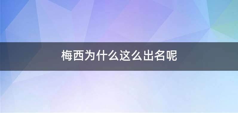 梅西为什么这么出名呢