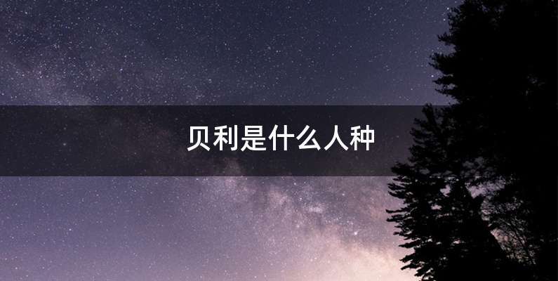 贝利是什么人种