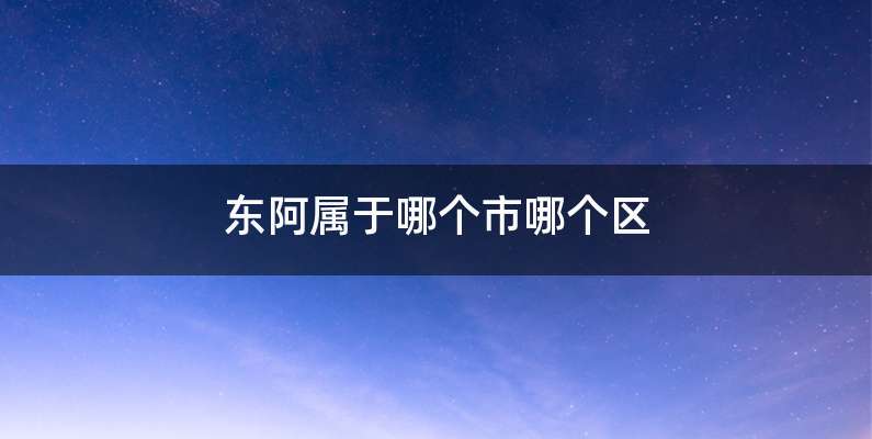 东阿属于哪个市哪个区