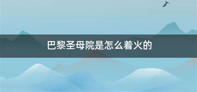 巴黎圣母院是怎么着火的