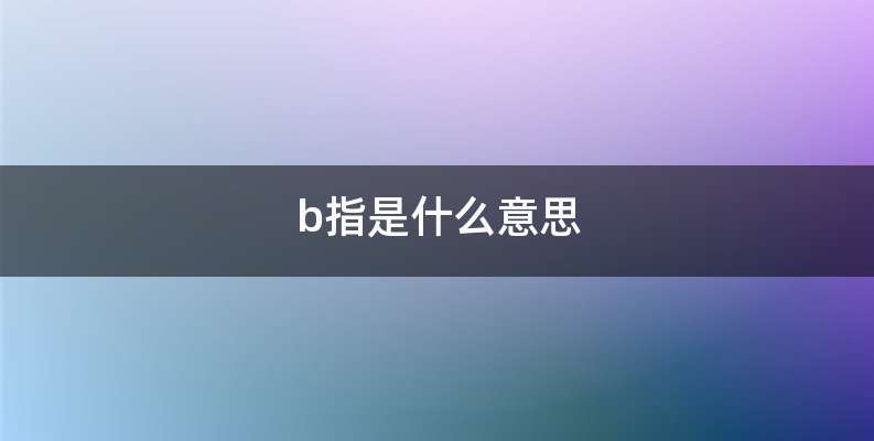 b指是什么意思