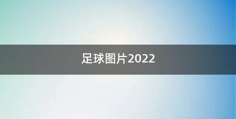 足球图片2022