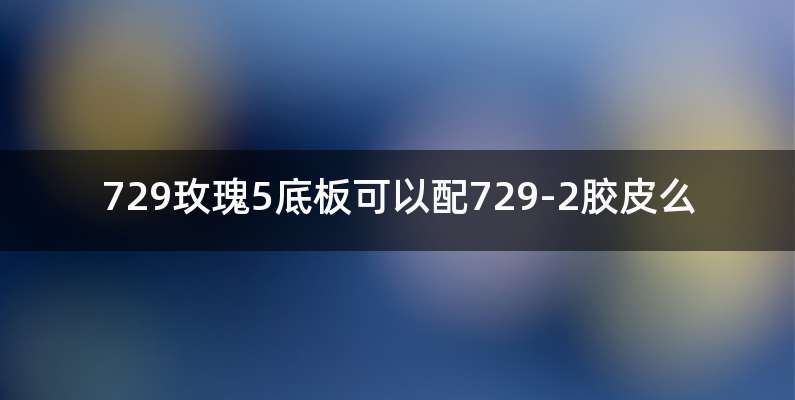 729玫瑰5底板可以配729-2胶皮么