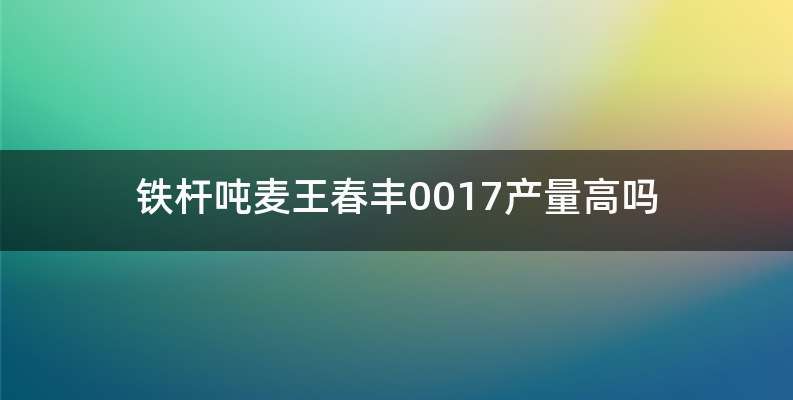 铁杆吨麦王春丰0017产量高吗