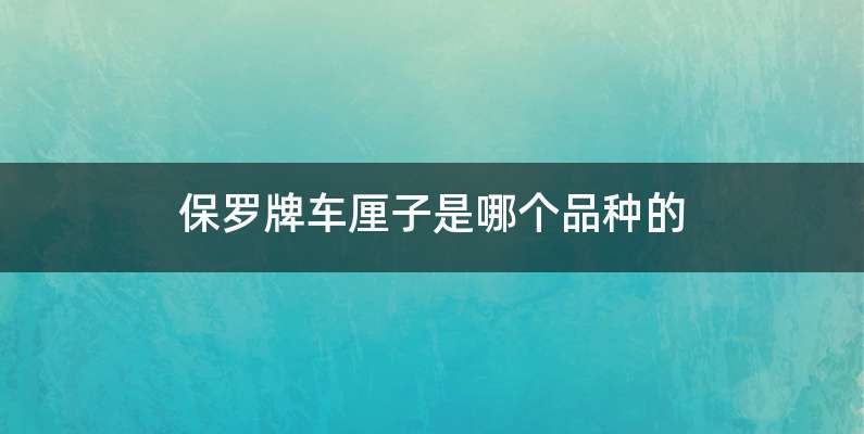 保罗牌车厘子是哪个品种的