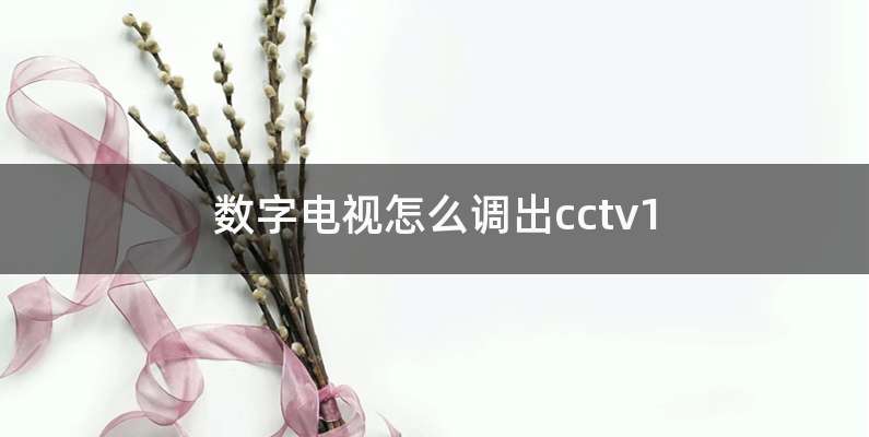 数字电视怎么调出cctv1