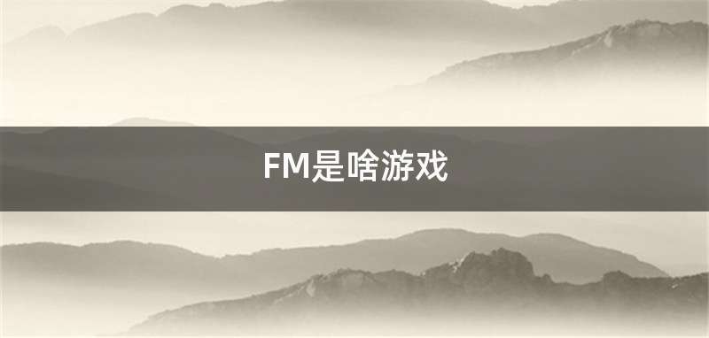 FM是啥游戏