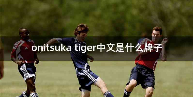 onitsuka tiger中文是什么牌子