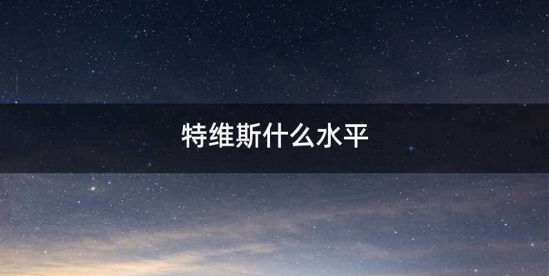 特维斯什么水平