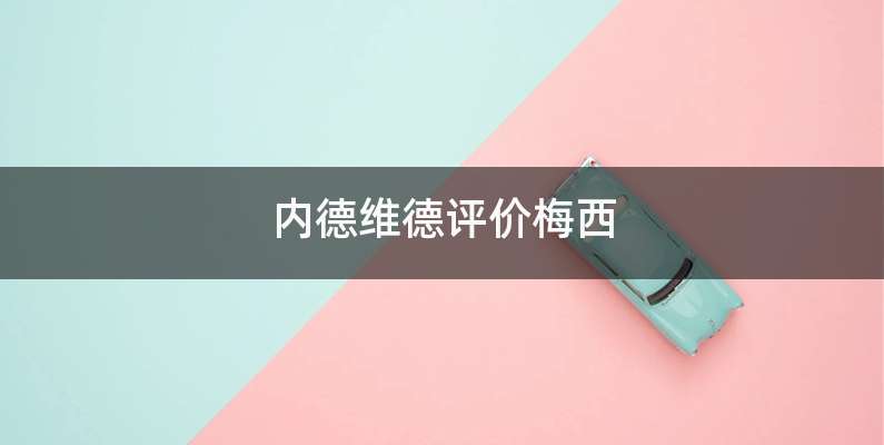 内德维德评价梅西