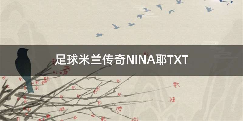 足球米兰传奇NINA耶TXT