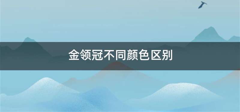 金领冠不同颜色区别