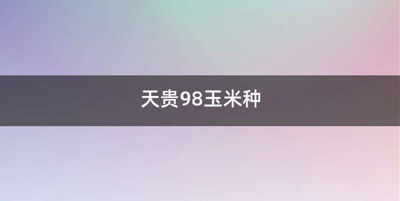 天贵98玉米种