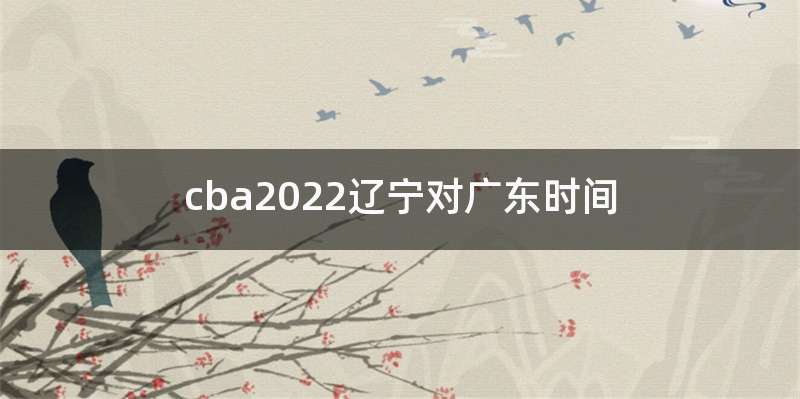 cba2022辽宁对广东时间