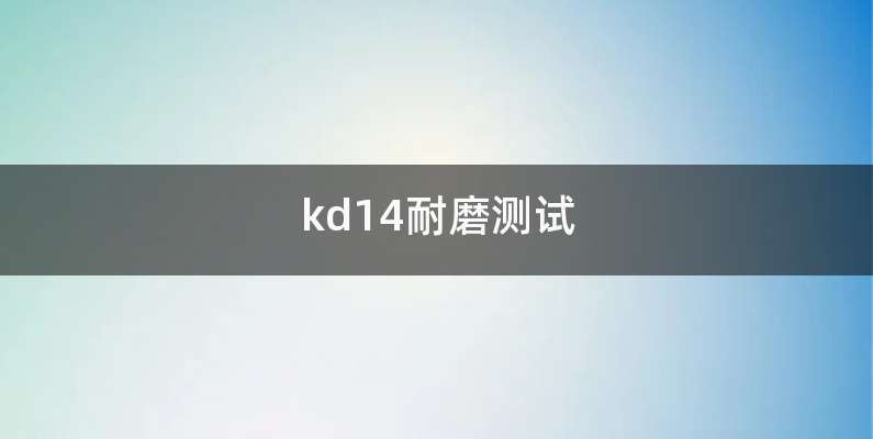 kd14耐磨测试