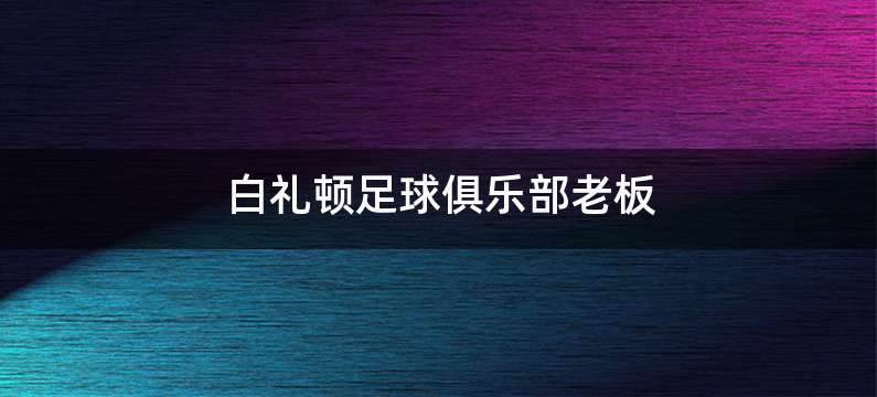 白礼顿足球俱乐部老板