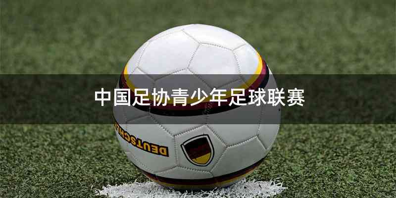 中国足协青少年足球联赛