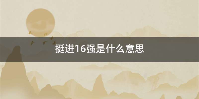 挺进16强是什么意思