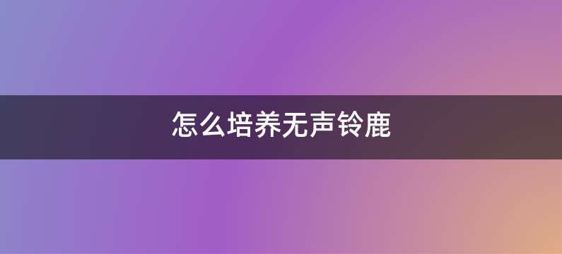 怎么培养无声铃鹿