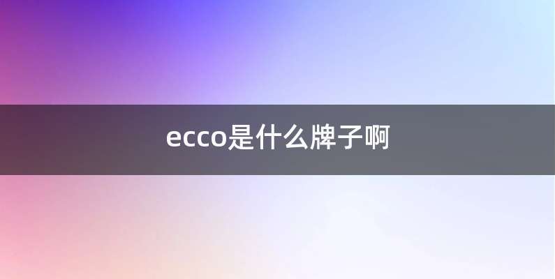 ecco是什么牌子啊