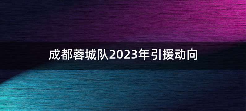 成都蓉城队2023年引援动向
