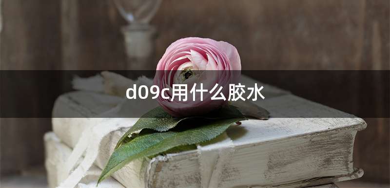 d09c用什么胶水