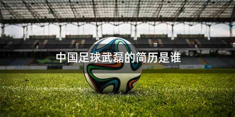 中国足球武磊的简历是谁