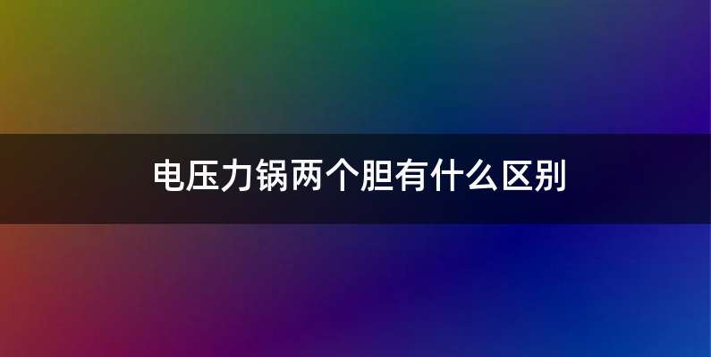 电压力锅两个胆有什么区别