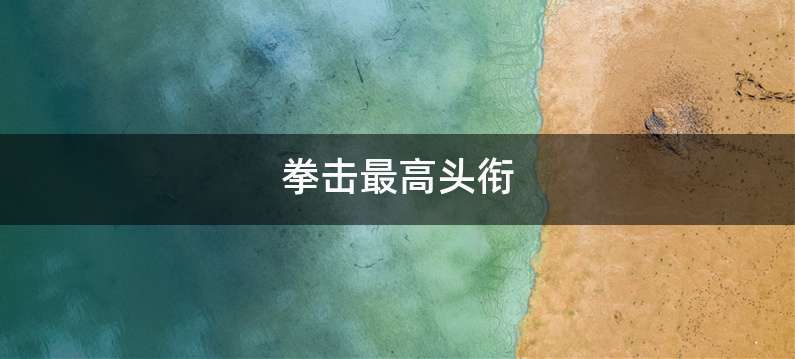 拳击最高头衔