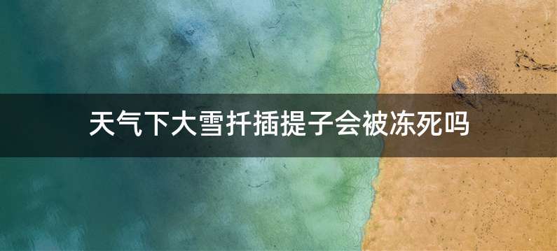 天气下大雪扦插提子会被冻死吗