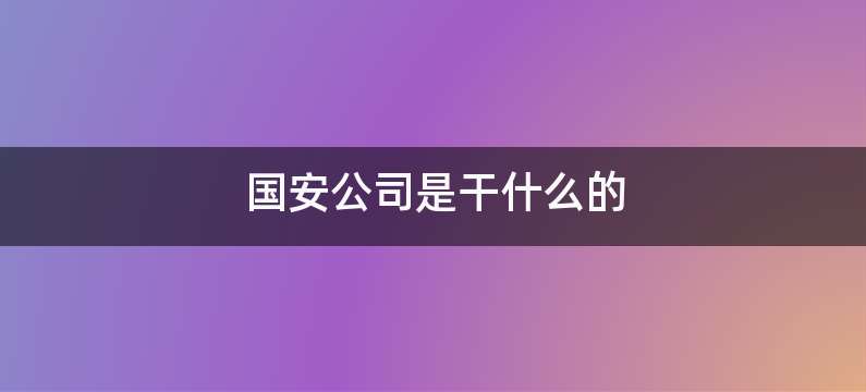 国安公司是干什么的