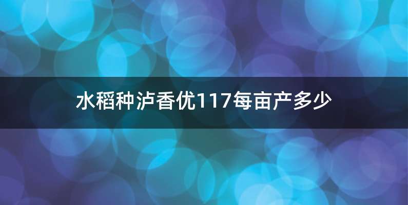 水稻种泸香优117每亩产多少