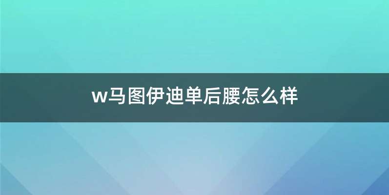 w马图伊迪单后腰怎么样