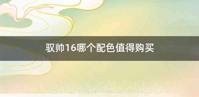 驭帅16哪个配色值得购买