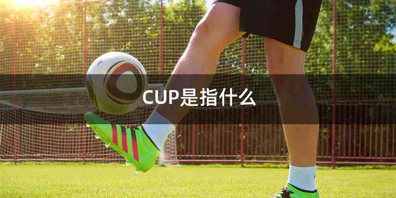 CUP是指什么