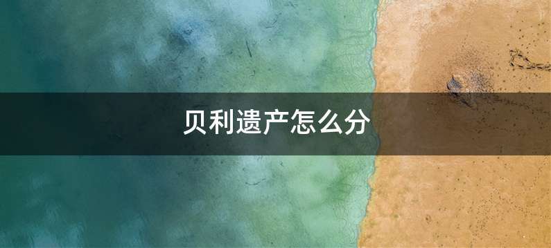 贝利遗产怎么分